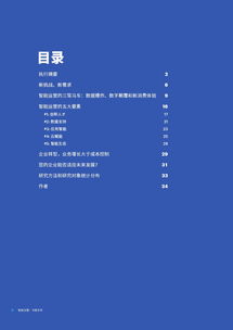 199IT助力互联网数据中心 数据驱动的洞察与增长新引擎
